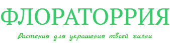 ФЛОРАТОРРИЯ - производство и продажа рассады, саженцев, многолетних растений