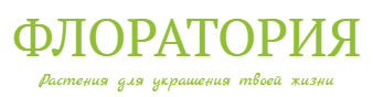 ФЛОРАТОРРИЯ - производство и продажа рассады, саженцев, многолетних растений